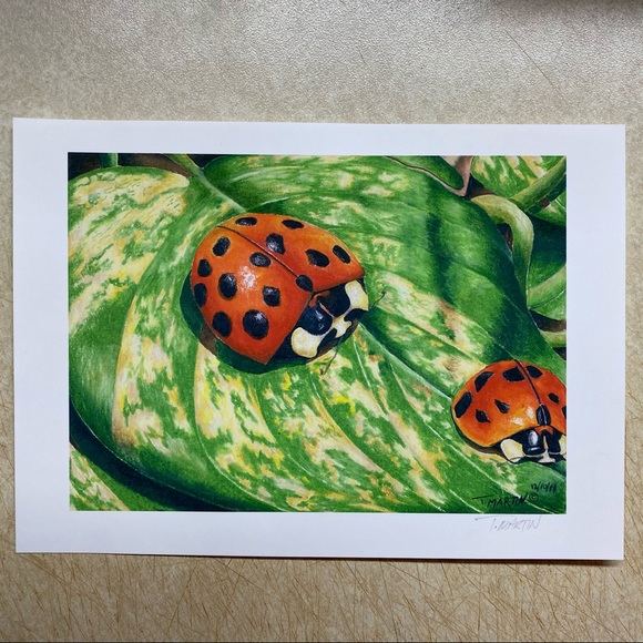 “Ladybugs” colored pencil print. - Picture 1 of 2
